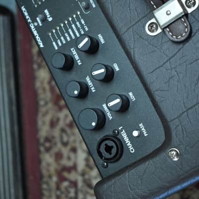 Fender Acoustic Junior Combo Amp image 6