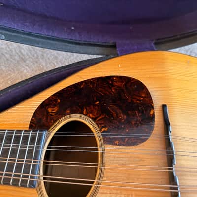1919 Martin Mandolin {style A}  - excellent condition image 5