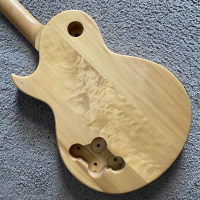 Harley Benton Single Cut Electric Guitar DIY Project with Rosewood Fingerboard image 14
