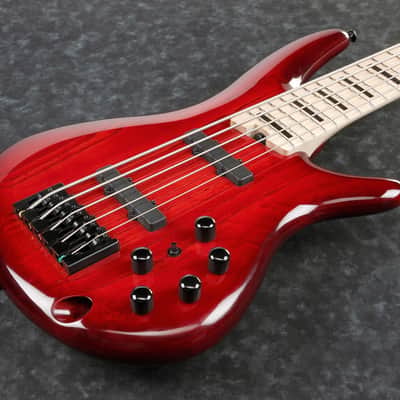Ibanez Adam Nitti Signature 5str Electric Bass w/Bag - Transparent Wine Red Burst (ANB205TWB) image 12