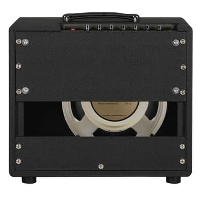 Friedman Runt 20 Combo image 2