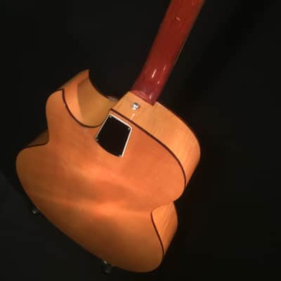 Nardan Model 100 MIJ 1950's/60's Archtop Spruce top Maple back & sides image 12