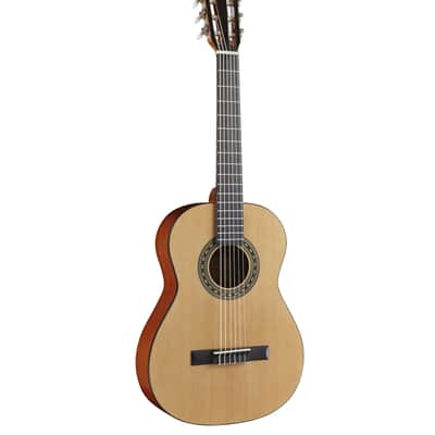 Austin AC340N Nylon String Acoustic - Natural image 1