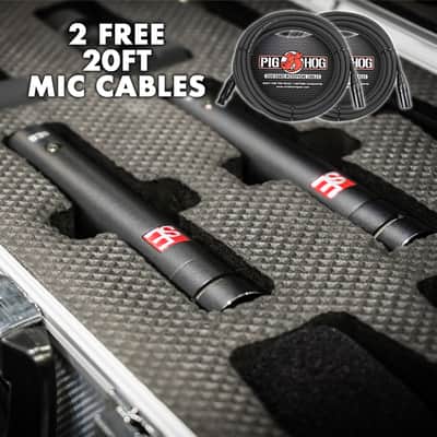sE Electronics sE8 Small Diaphragm Cardioid Condenser Microphones - Matched Stereo Pair With Hard Case, Mic Clips, Stereo Bar, and Windscreens **TWO FREE 20FT MIC CABLES and FREE SHIPPING!** image 1