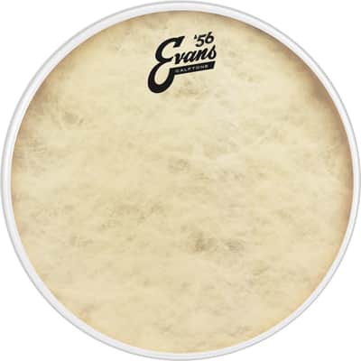 Evans TT12C7 12" Calftone Drum Head