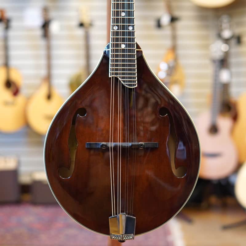Eastman MD505 A-Style Mandolin Classic Finish w/Hard Case image 1