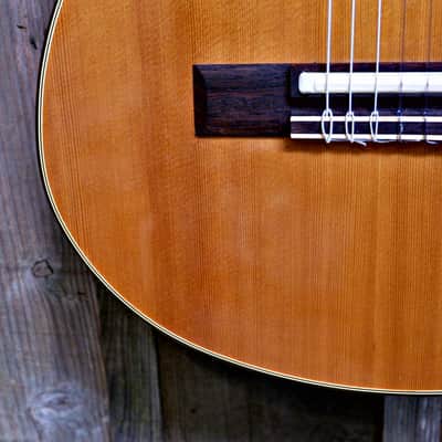 Gibson Chet Atkins CE Classical Nylon Guitar w/ Hard Case - 1982 image 4