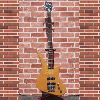 Warwick Dolphin pro2 | Rare model & Fine condition | Free shipping | Made in Japan image 1