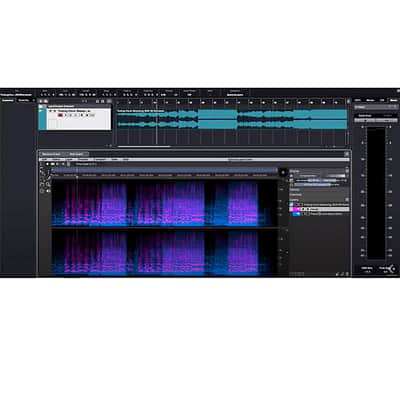 Steinberg Cubase 14 Artist (Download) image 4