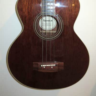 Samick LAB-010 G Artist Series Acoustic Bass Guitar image 2