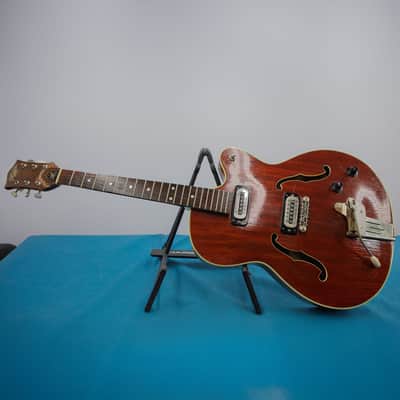 Arnold Hoyer Hollow Body 60's - brown image 1
