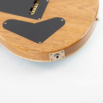 PRS Custom 24 2025 - Carroll Blue image 16