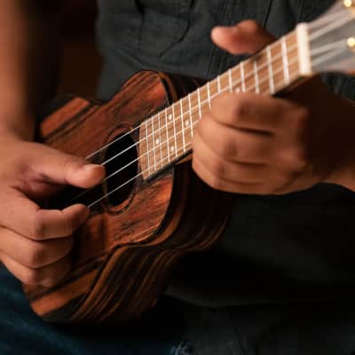 Ortega Timber Series Concert Ukulele w/ Bag image 13