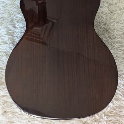 Recording King RGA-G6CFE5 Solid Top Grand Auditorium Acou/Elec Cutaway Guitar image 5