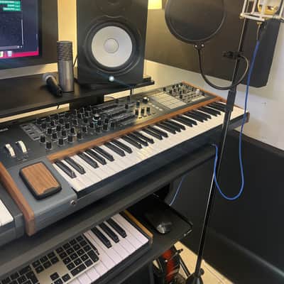 Arturia Arturia polybrute 6 voces 2024 - Madera oscuro