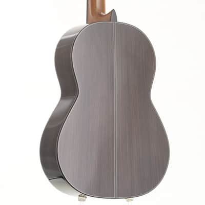 Cordoba C10 Parlor LUTHIER Series  [12/04] image 6