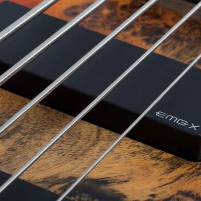 Schecter Riot-5 Bass Inferno Burst image 7
