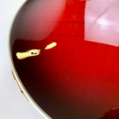 Gibson Les Paul Supreme 2007 Guitar of the Week #9 Autumn Burst image 18