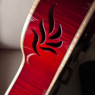 Tad Brown Archtop 16" Acoustic Calton Case image 13