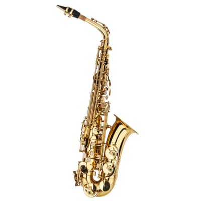 Eb Alto Saxophone Outfit Gold Lacquered Brass w/ Hard Case, Mouthpiece, Reed & Gloves image 13