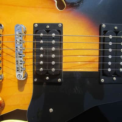 Washburn HB30TSK 335 Dot Neck Copy Guitar, 2012, HSC, Mint image 7