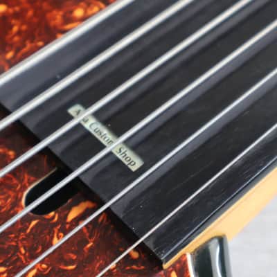 1995 Aria Pro II AVB-SB-06A Steve Bailey Signature 6-String Fretless Bass (Sunburst) image 8