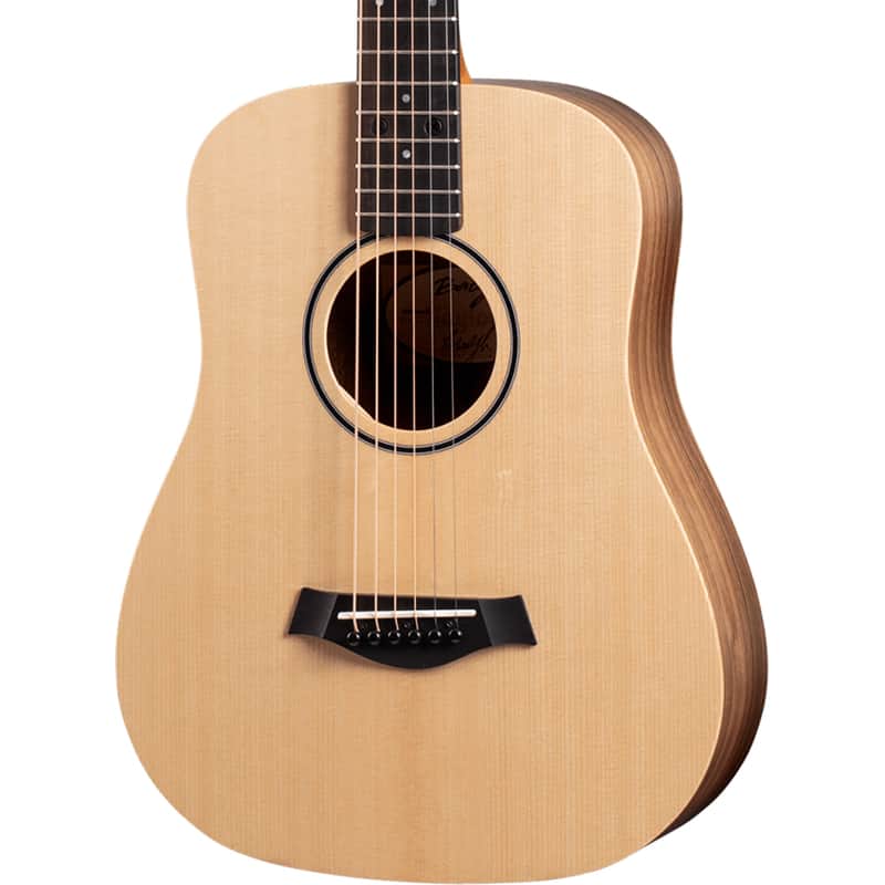 Taylor BT1e