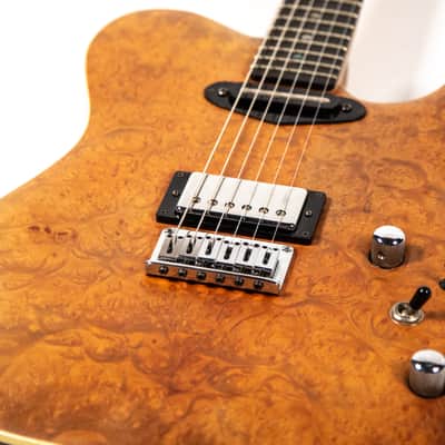 Hamburguitar Tele Style Guitar Owned by Mike Campbell image 10