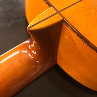 Guitarra Manuel de la Chica Edición Especial 1967 image 17