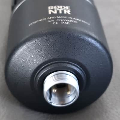 RODE NTR Active Ribbon Microphone image 9
