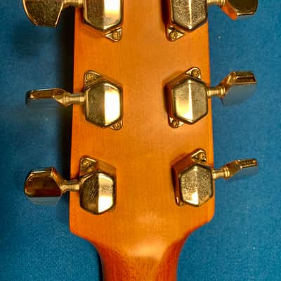 Washburn D-15 image 10
