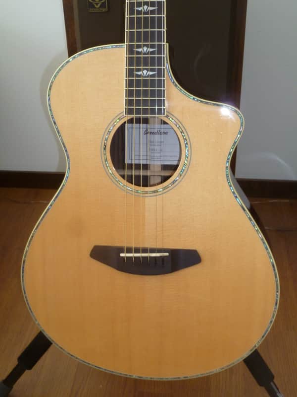 Breedlove Stage Concert image 1