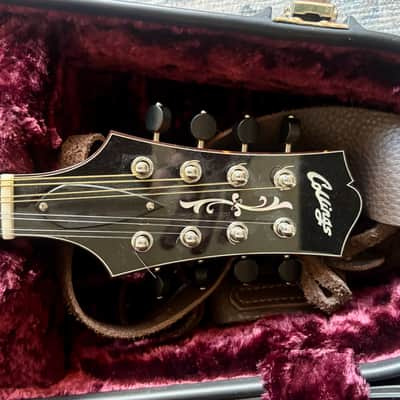 Collings MT2 Birdseye Maple/ Italian Spruce Honey Amber 2018 - Full high-gloss nitrocellulose lacquer finish image 12