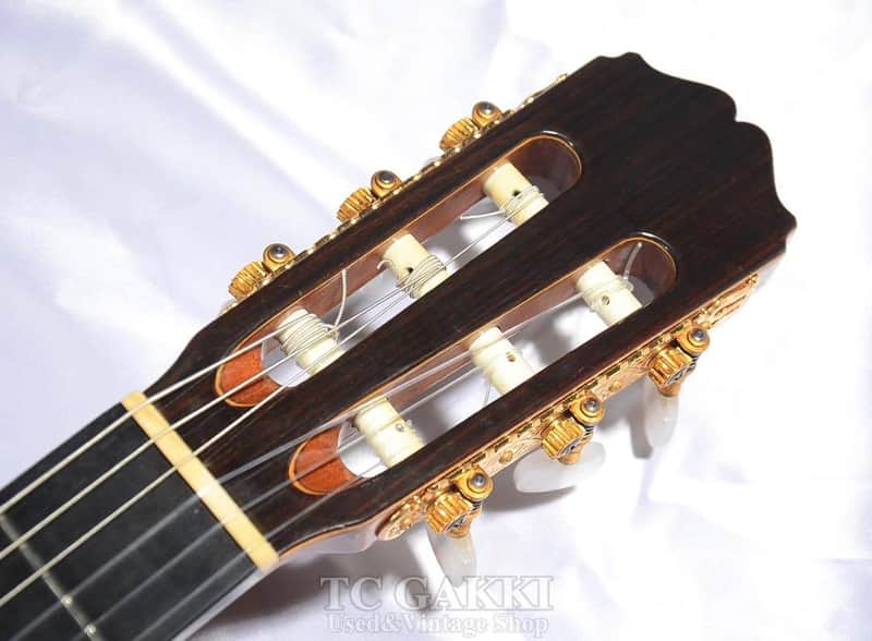 Takamine NPT 315 | Reverb