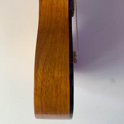 Randolin MN-0-BN 2022 nylon strung mandolin image 6