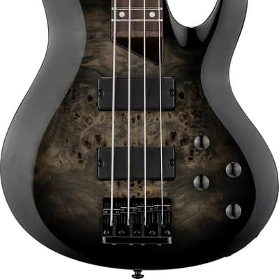 ESP LTD B-204DX Electric Bass Guitar - Black Burst Rosewood Fingerboard image 1