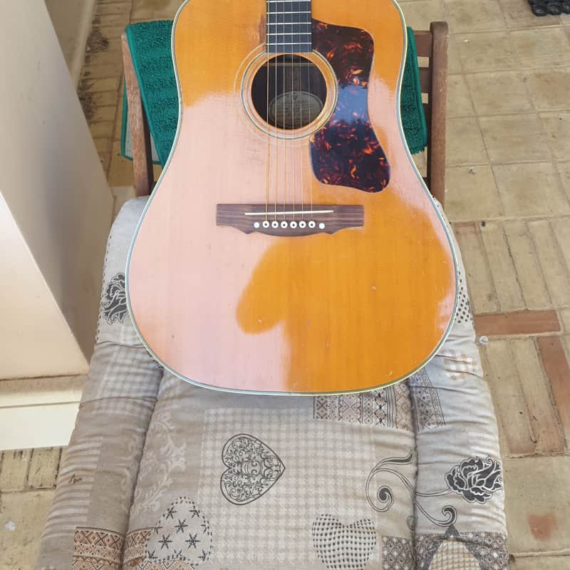 1965 Guild D 50 Bluegrass Special Natural