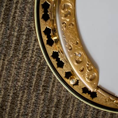 Stelling Staghorn Gold Plated Banjo No. 4510 (c. 1996) image 9