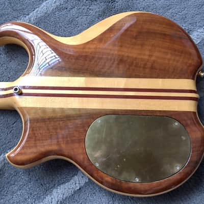 Alembic EVH-4 Signature Deluxe 1990 Walnut image 13