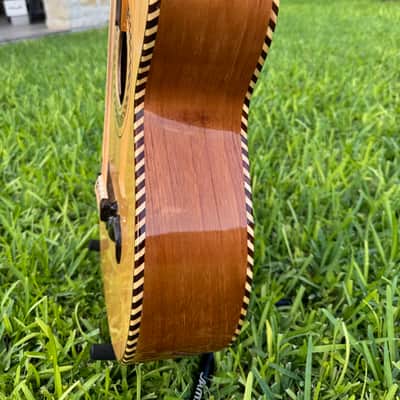 Gallardo Bajo Quinto - Mexican Rosewood Bajo Quinto 2026 - Mexican Rosewood (palo escrito) image 4
