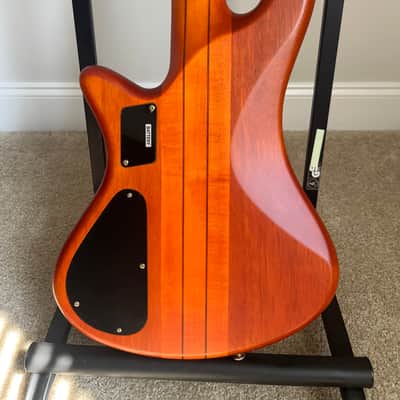 Schecter Stiletto Studio-5 FL Active Fretless 5-String Bass 2010s - Honey Satin image 9