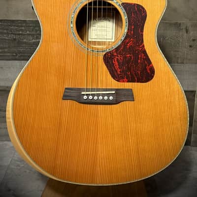 Walden G633RCE-G/W Natura Solid Cedar Top/Ovangkol Maple Armrest Grand Auditorium Acoustic Cutaway-Electric - Gloss Natural (G633RCE-G/W) image 3