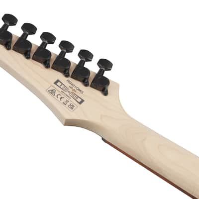 Ibanez RG421QM-CBB RG Electric Guitar 6-String - Cerulean Blue Burst image 23