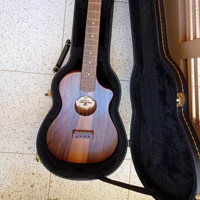 Bonanza Homestead Baritone 2022 image 15