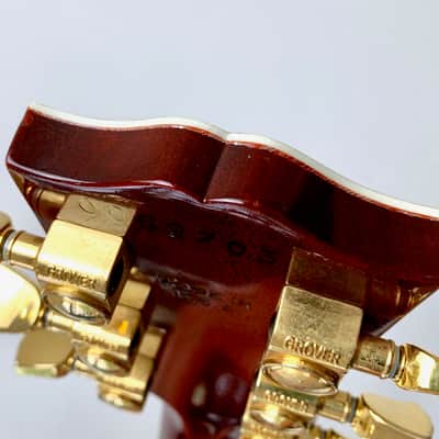 Gibson Les Paul Supreme 2007 Guitar of the Week #9 Autumn Burst image 16