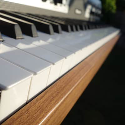 Rhodes MK8/73 (UK/2026)  elec piano with MIDI fitted image 12