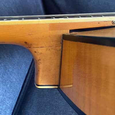 Hopf Hollow body Jazz + Hardcase 1959 imagen 19