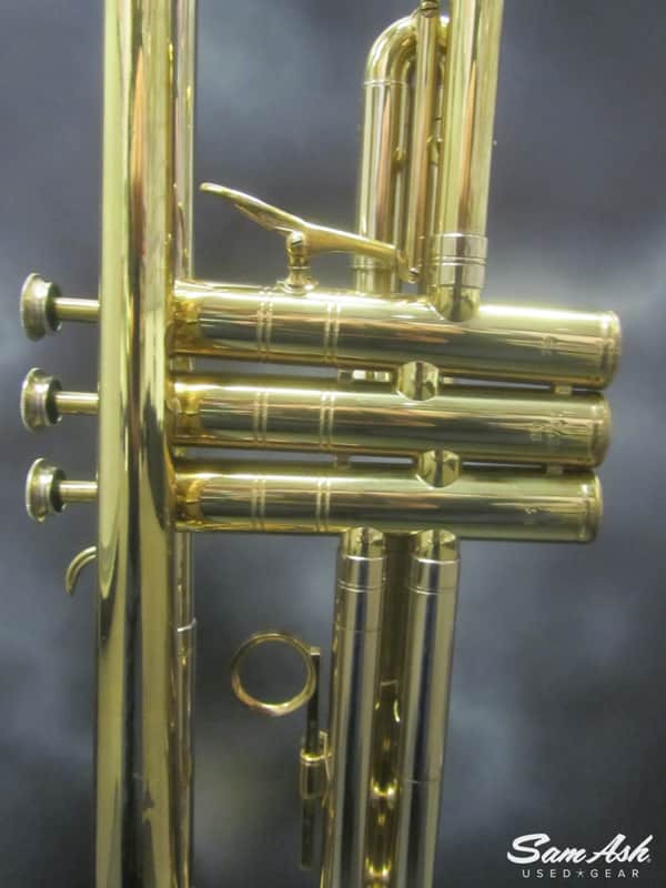 Selmer Paris Radial 66 (1968) | Reverb