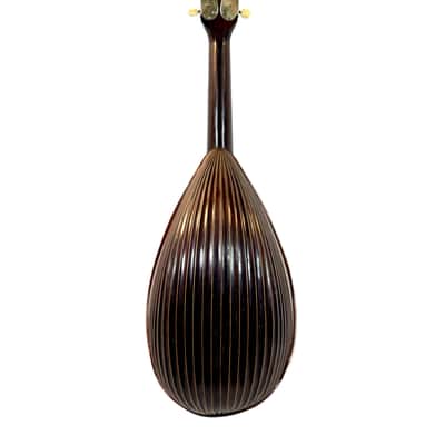 C.A. Kisslinger Decorated Curved-Ribs Mandolin, 1901 image 11