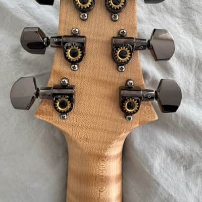 PRS Custom 24 Top 10 Wood Library image 7